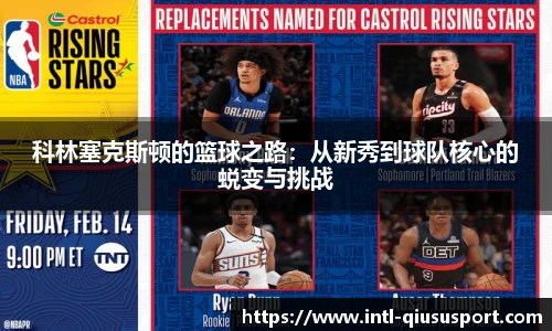 球速体育登录入口